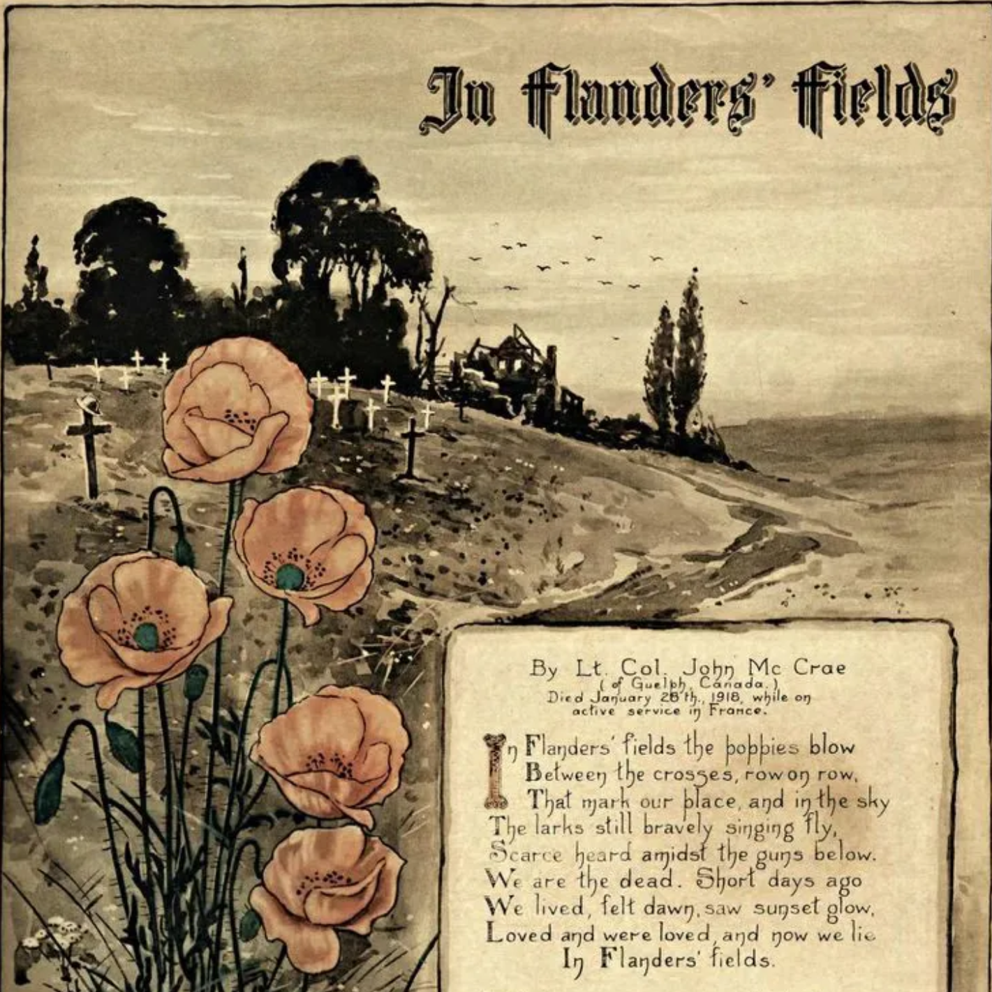 The strange history of Afghanistan's poppy flower