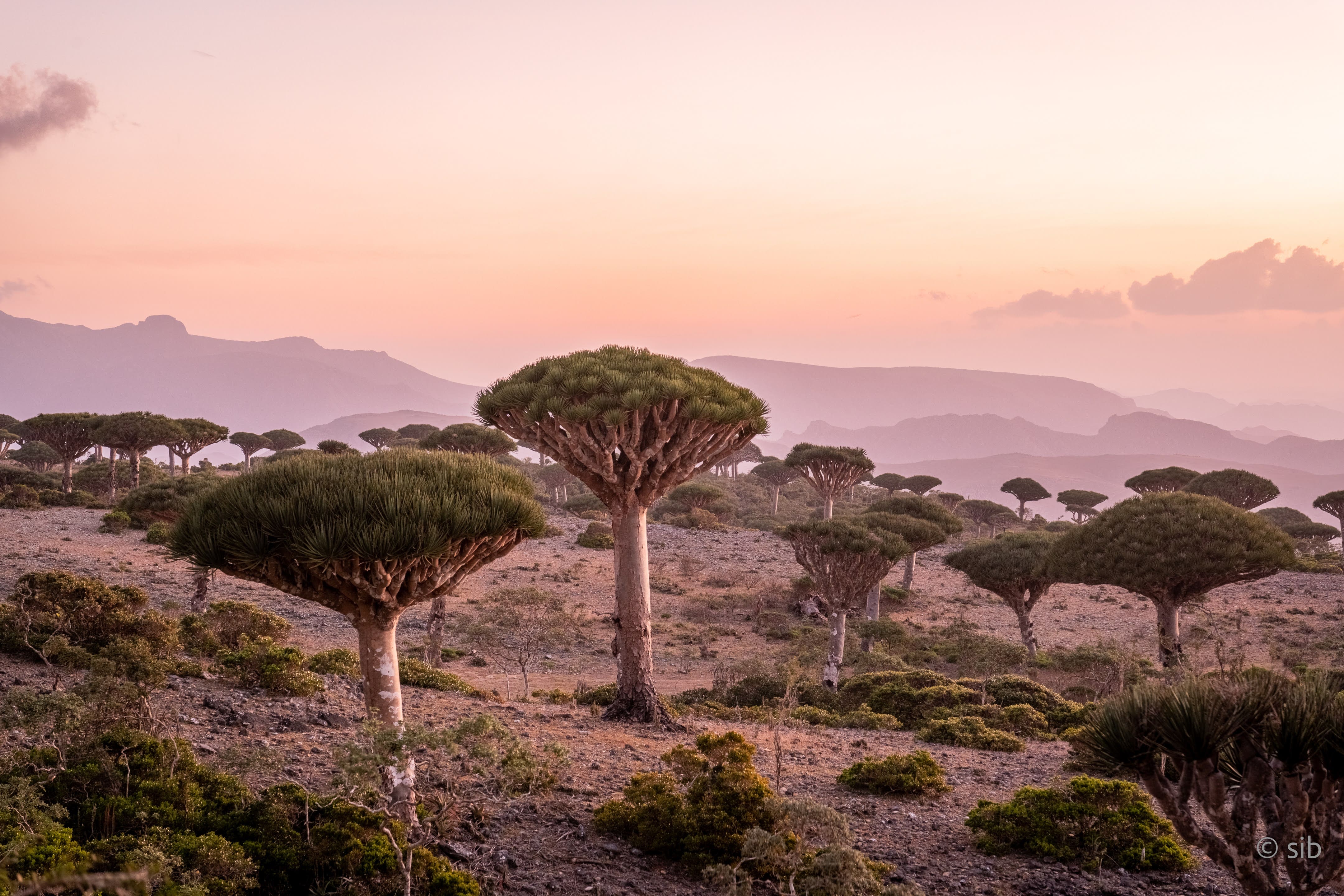 Explore our upcoming trips...