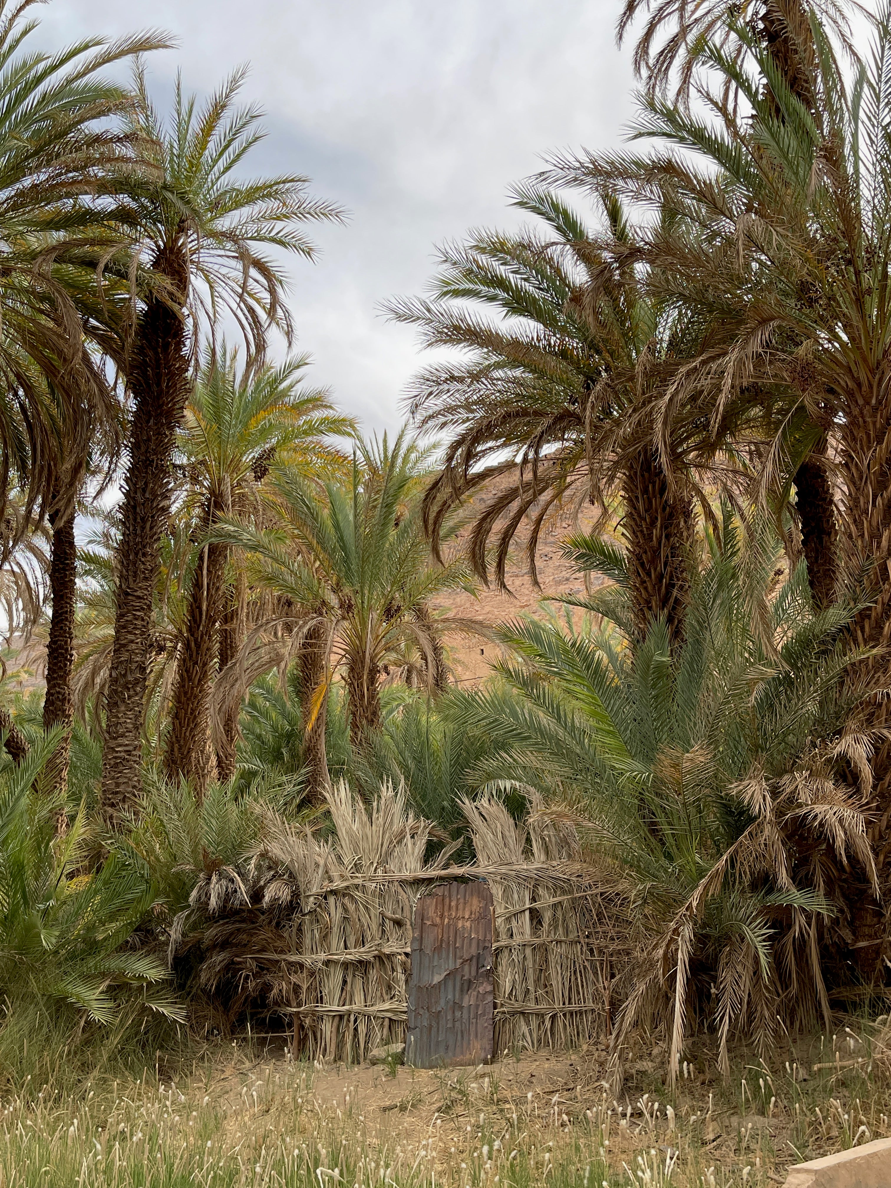 Algeria: Civilisations, Culture & Desert Dunes