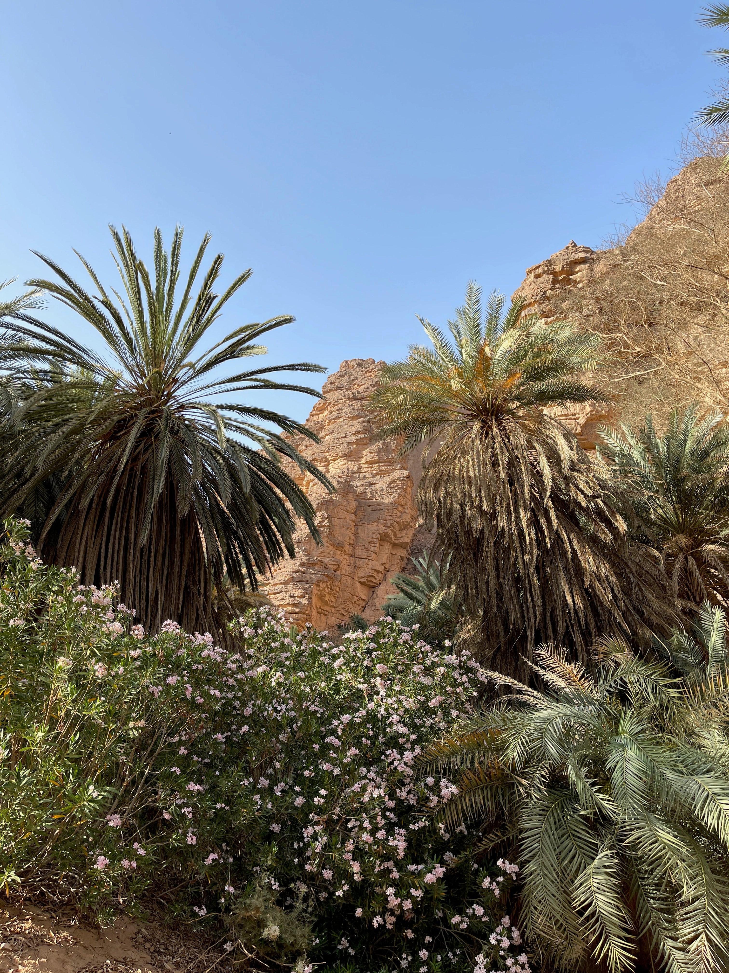 Algeria: Civilisations, Culture & Desert Dunes