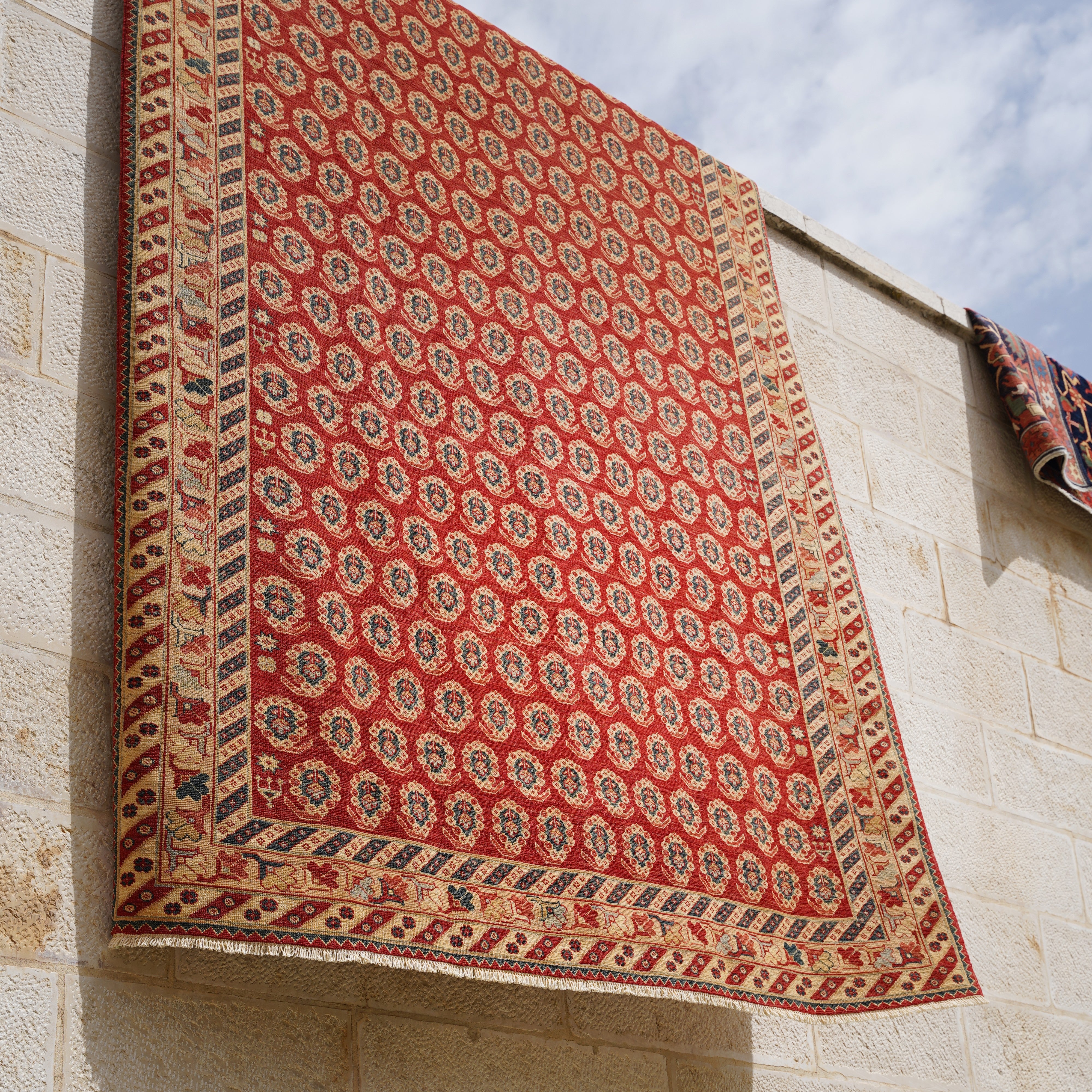 Boteh Hand-knotted Rug