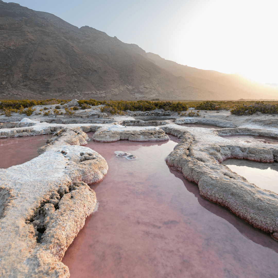 Bespoke trip to the Yemeni Island of Socotra - ISHKAR