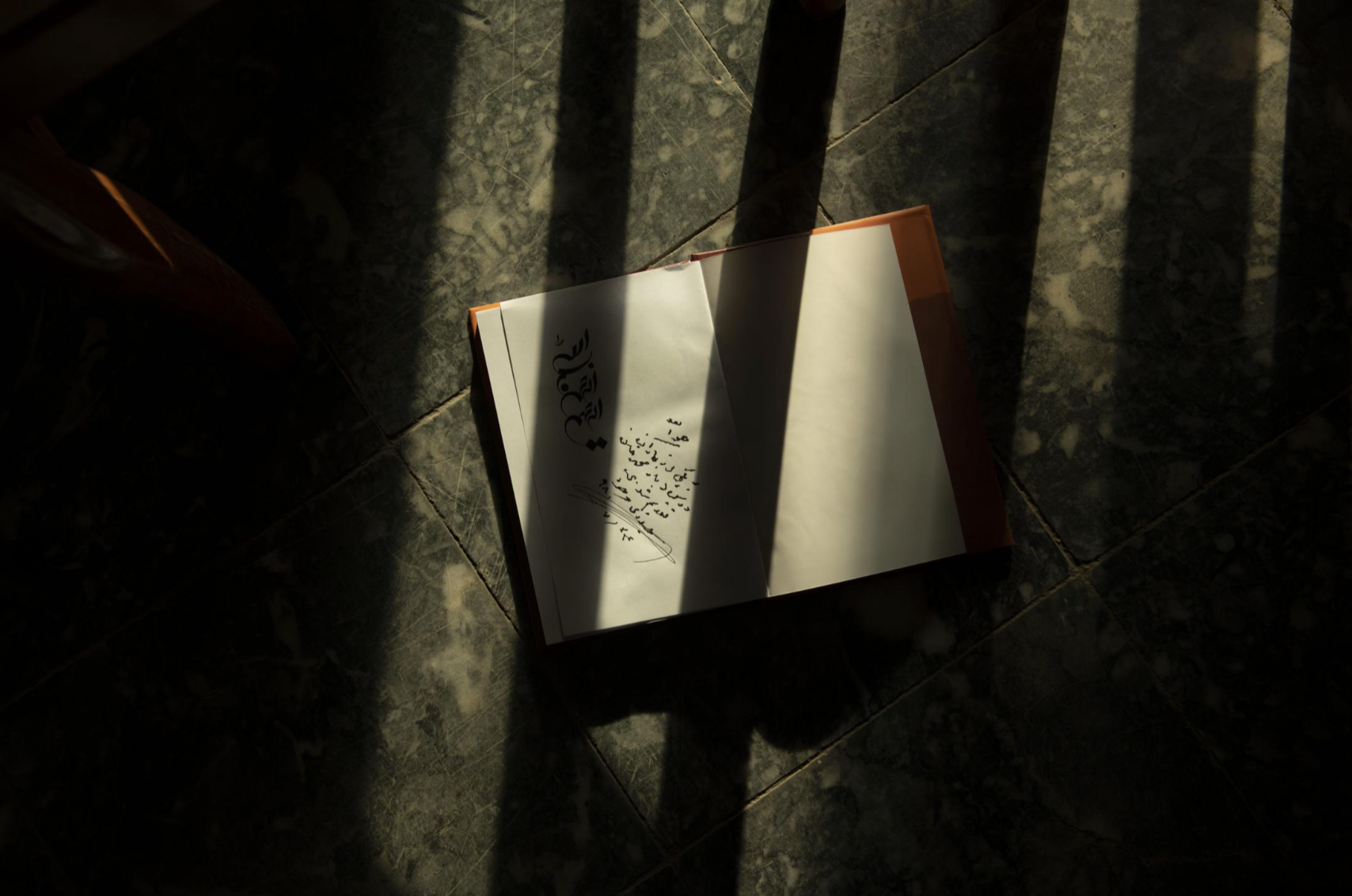 GUEST EDIT | TARAN KHAN