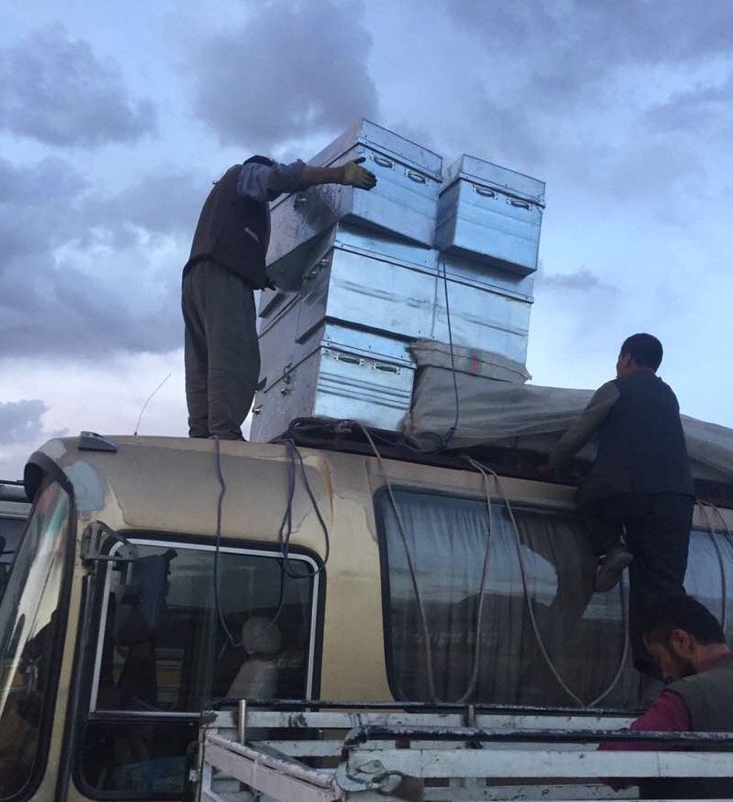 Risk: Sliced, Diced and Sprinkled On Top - ISHKAR