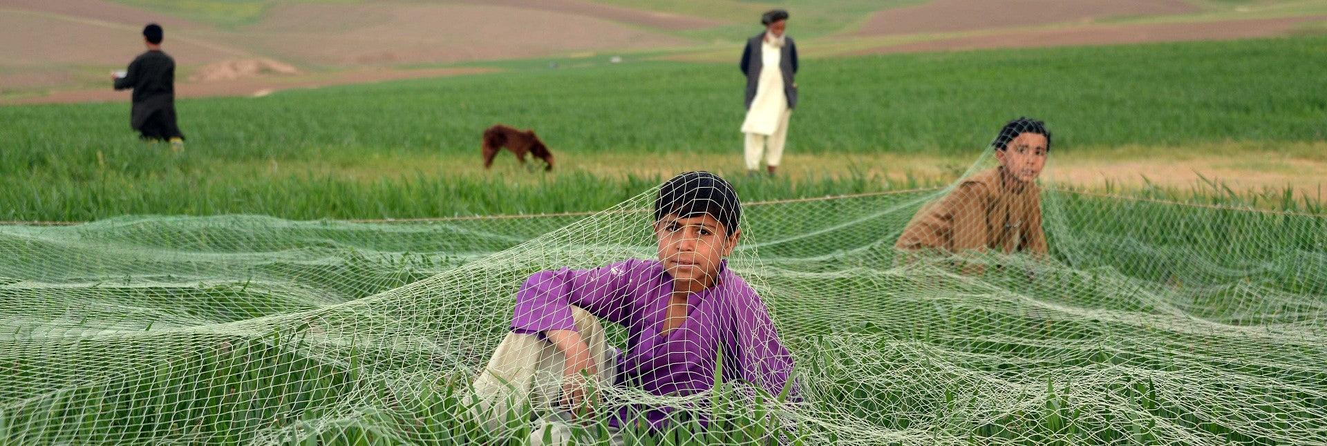 Photography - ISHKAR