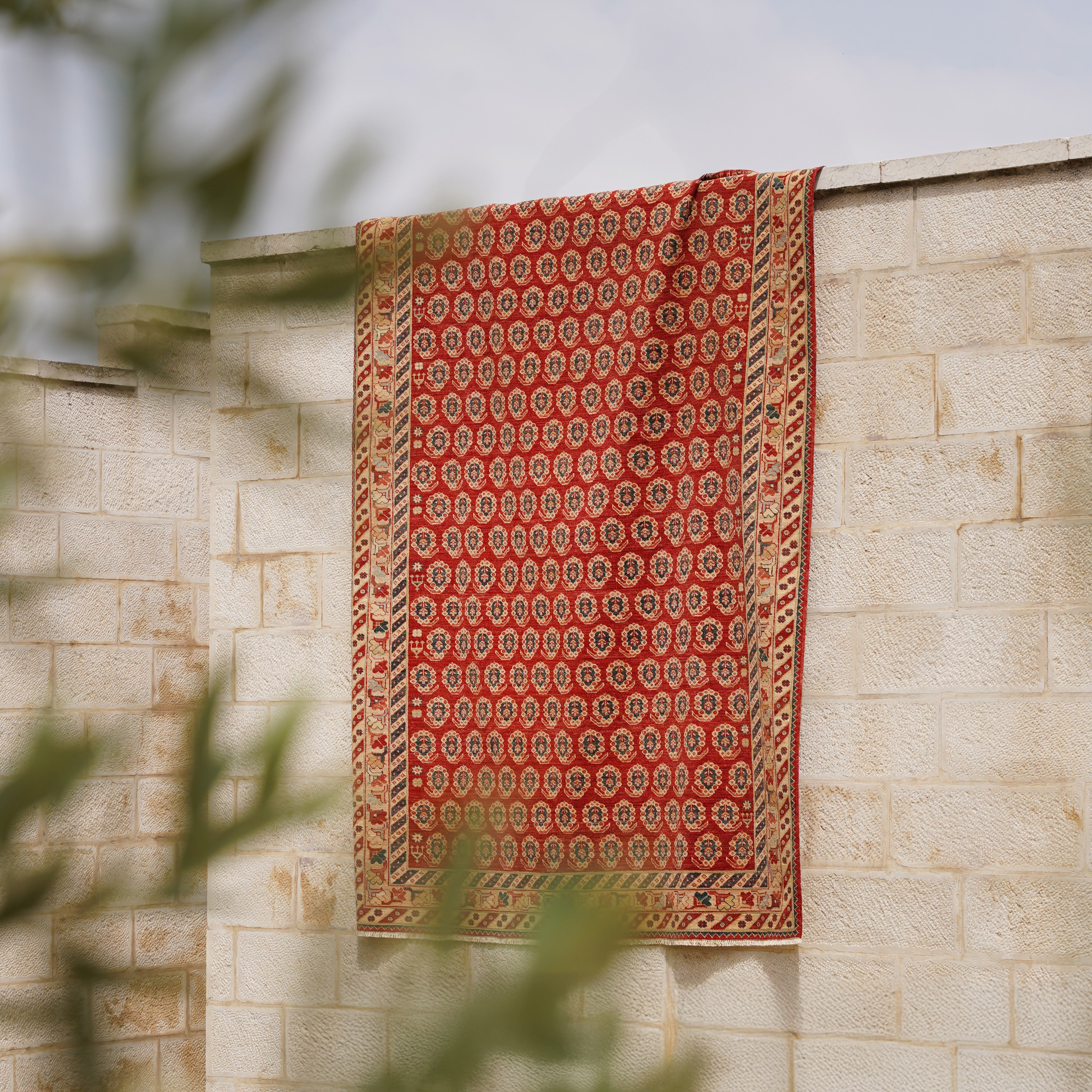 Boteh Hand-knotted Rug