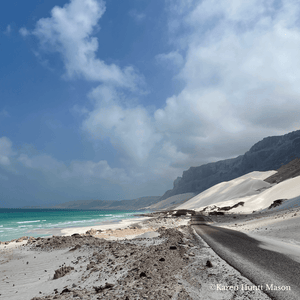 Bespoke trip to the Yemeni Island of Socotra - ISHKAR