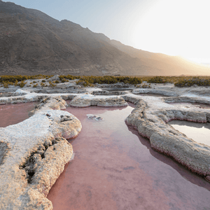 Bespoke trip to the Yemeni Island of Socotra - ISHKAR