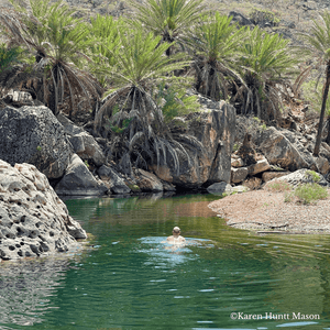 Bespoke trip to the Yemeni Island of Socotra - ISHKAR