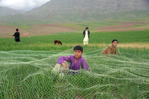 Bird catchers - ISHKAR