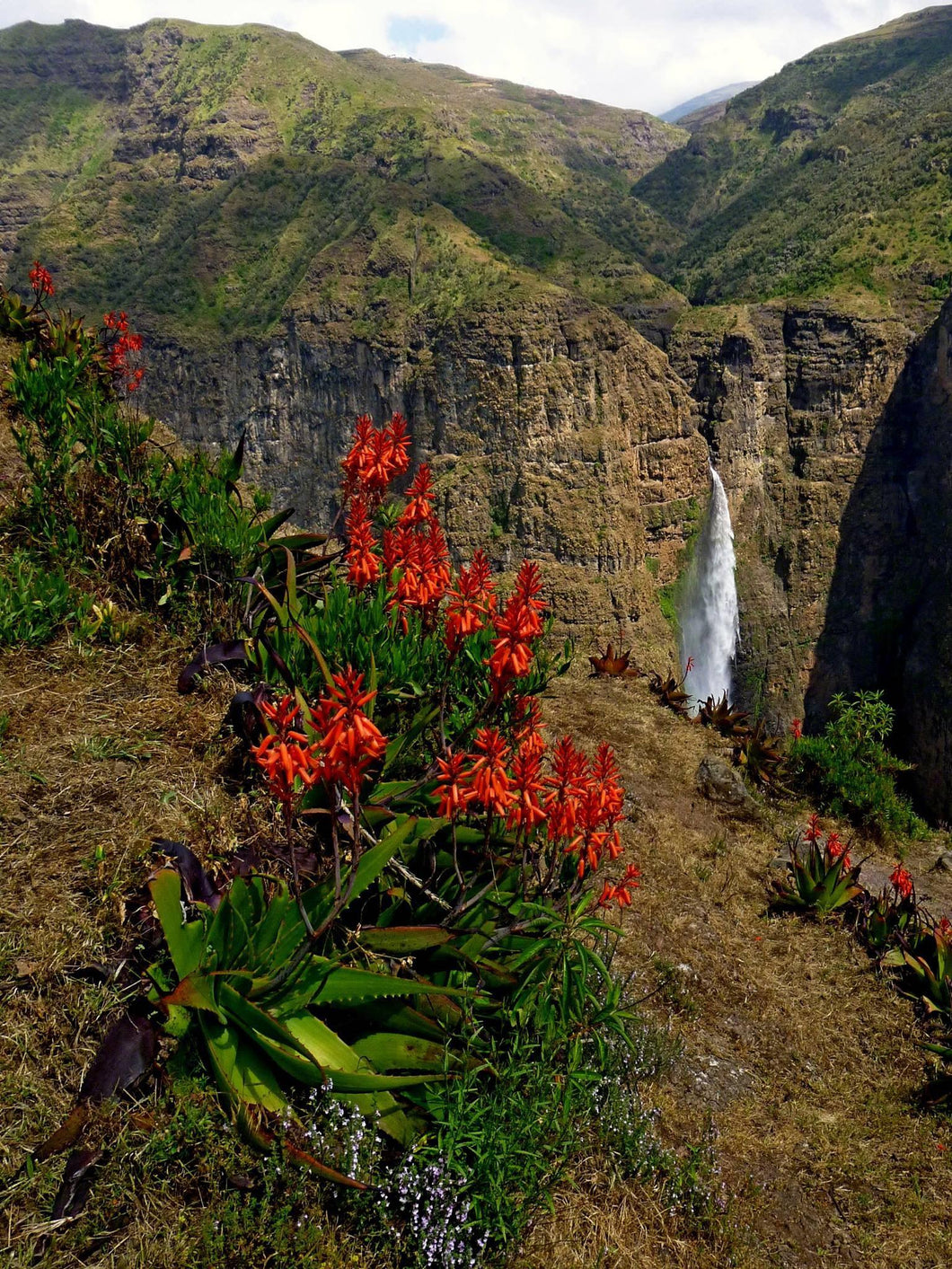 Ethiopia : Mountains & Metropolis - ISHKAR