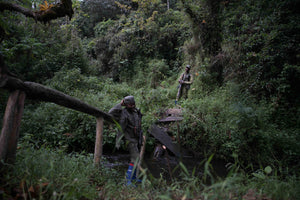 The Democratic Republic of Congo: The Land of Birdsong - ISHKAR