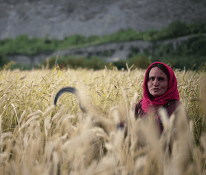 Hunza & Chitral: Changing Climate, Changing Landscapes - ISHKAR