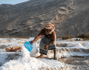 Bespoke trip to the Yemeni Island of Socotra - ISHKAR