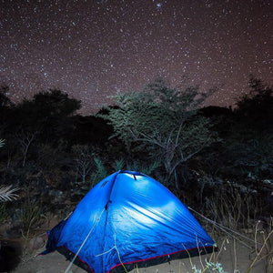 Socotra: The Isle of Flora and Fauna - ISHKAR