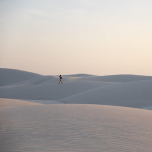 Socotra: The Isle of Flora and Fauna - ISHKAR