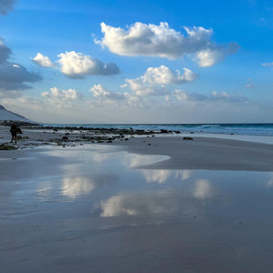 Socotra: The Isle of Flora and Fauna - ISHKAR