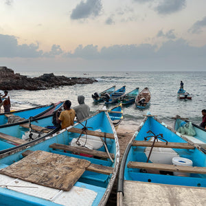 Socotra: The Isle of Flora and Fauna - ISHKAR