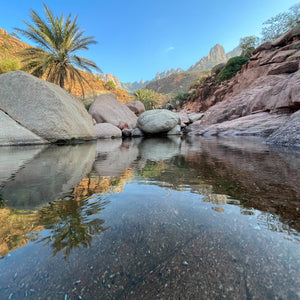 Socotra: The Isle of Flora and Fauna - ISHKAR