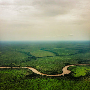 HautUele District, one of the areas in which the Lord's Resistance Army (LRA) operates.  Photographer: Michael Christopher Brown