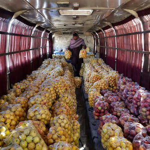Ghazni Apples - ISHKAR