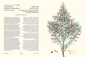 Herbal of Iraq - ISHKAR