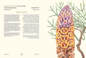Herbal of Iraq - ISHKAR
